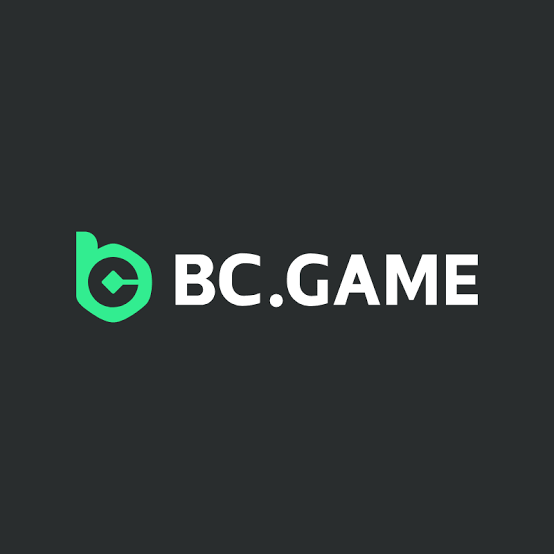 Unleashing Fun The BC.Game App Experience